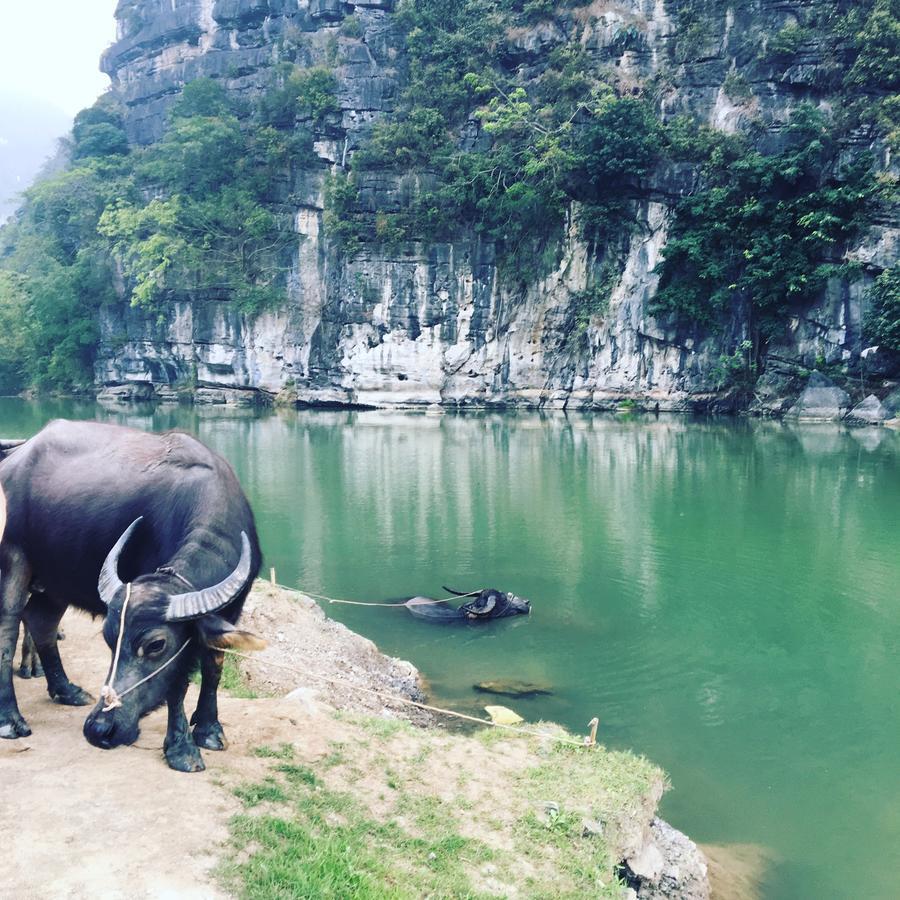 Mai's homestay Trang An village Ninh Bình Exteriör bild