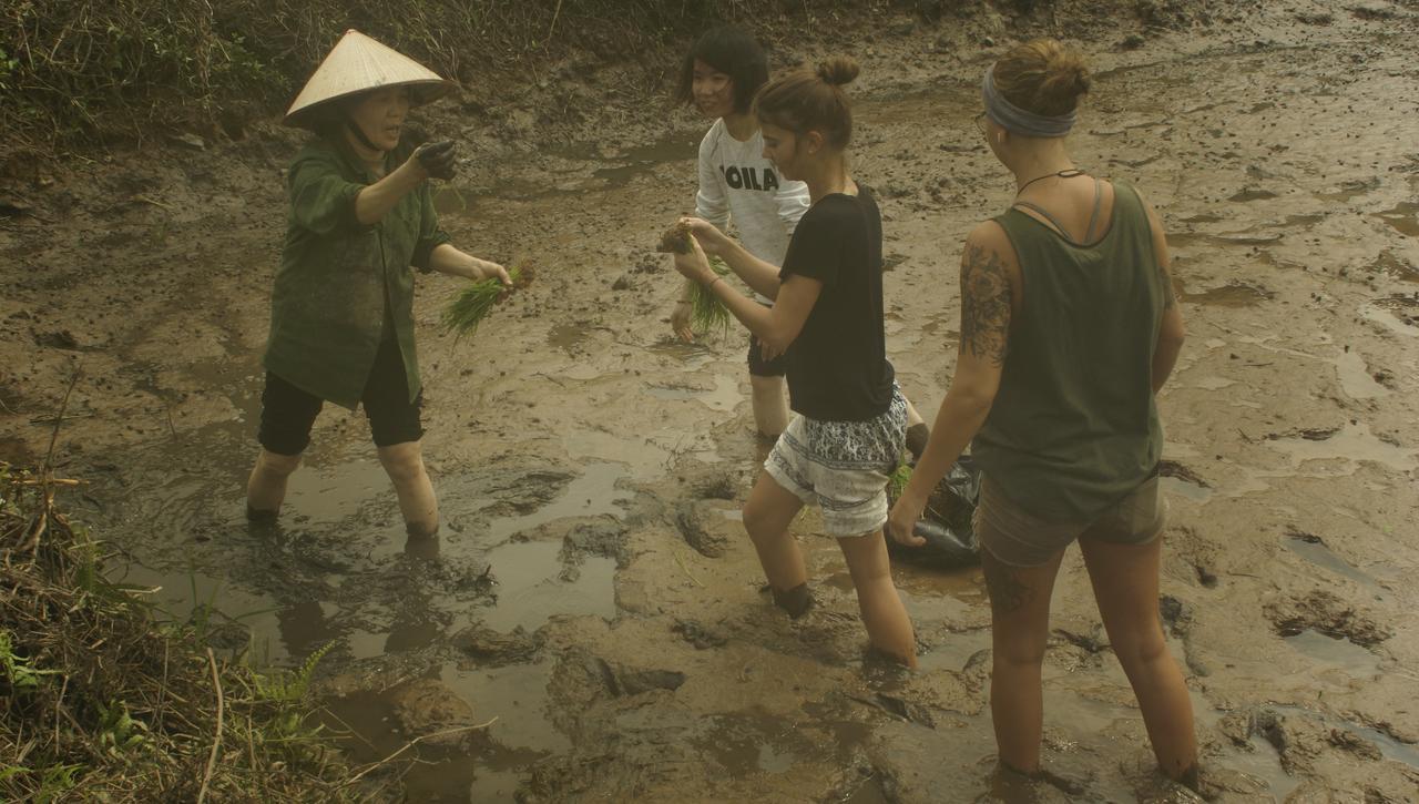Mai's homestay Trang An village Ninh Bình Exteriör bild