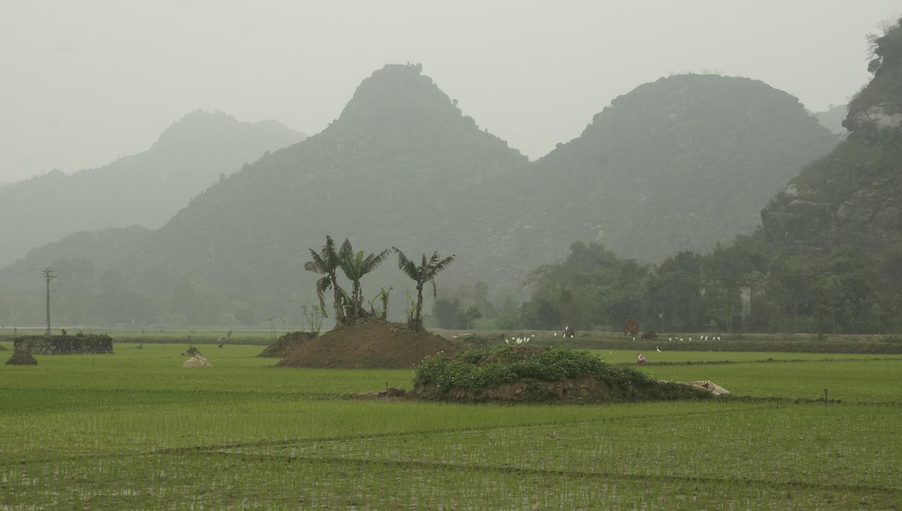 Mai's homestay Trang An village Ninh Bình Exteriör bild