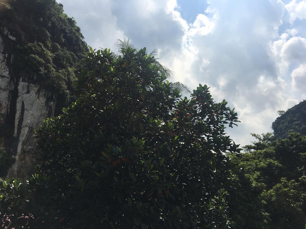 Mai's homestay Trang An village Ninh Bình Exteriör bild