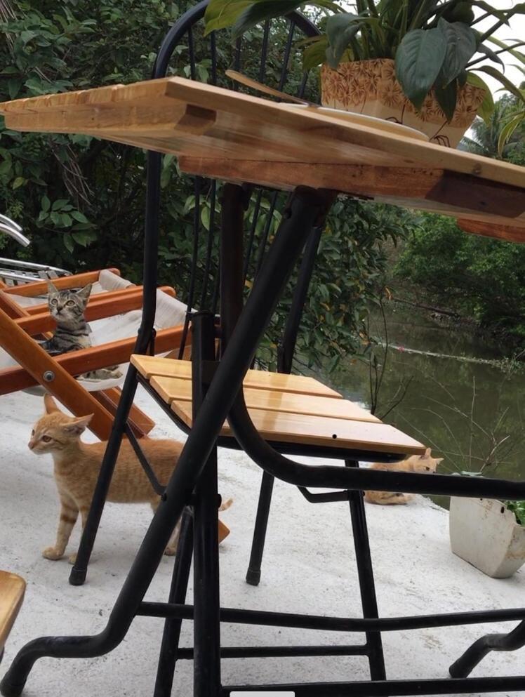 Mai's homestay Trang An village Ninh Bình Exteriör bild